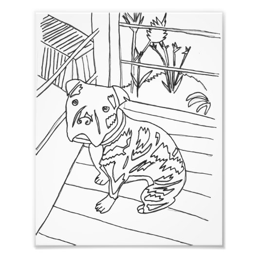 ベフザパッププリント フォトプリント            (正面)