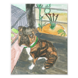 ベフザパッププリント フォトプリント           