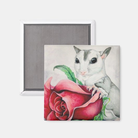 ベミン マグネット (正面/裏面)