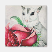 ベミン マグネット (正面)