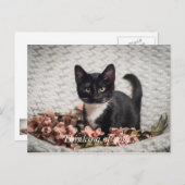 ベラかわいらしバラ考えのユーポストカード ポストカード (正面/裏面)