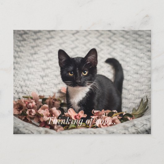 ベラかわいらしバラ考えのユーポストカード ポストカード (正面)