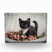 ベラかわいらしバラ フォトブロック (正面)