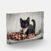 ベラかわいらしバラ フォトブロック (左)