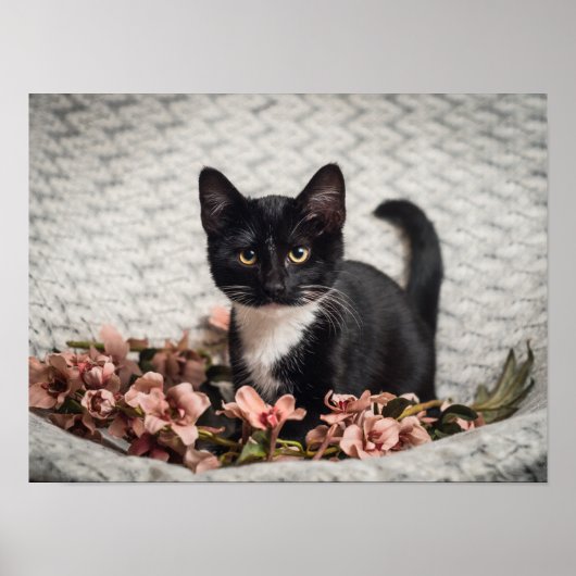 ベラかわいらしバラ ポスター (正面)