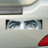 ベラの目 バンパーステッカー (車上)