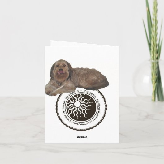 ベラアズザPAWparazzi カード (裏面)