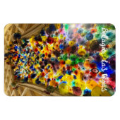 ベラカラフルージオ天井 マグネット (横)