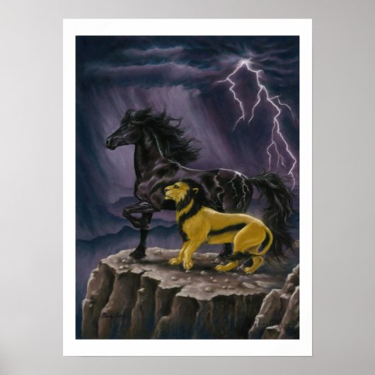 ベラサラサンダー – プリント (正面)