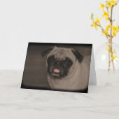 ベラドナグリーティングカード カード (黄色い花)