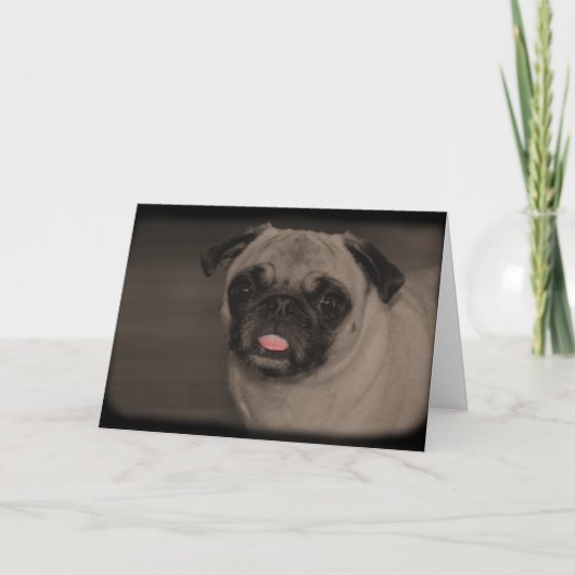 ベラドナグリーティングカード カード (正面)