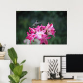 ベラドンナライリのハチドリ ポスター (ホームオフィス)