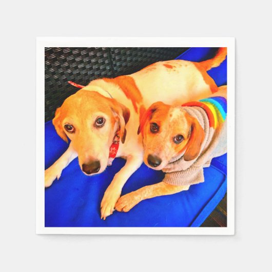 ベラナナナプキンズバイタマラディアズアート スタンダードカクテルナプキン (正面)