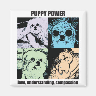 ベラパピーのパワーマグネット マグネット