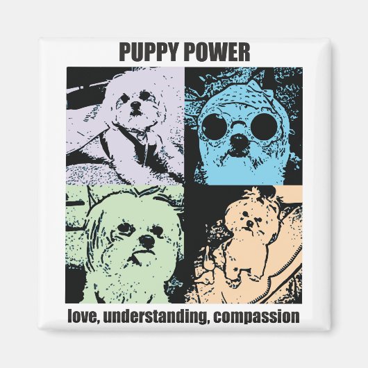 ベラパピーのパワーマグネット マグネット (正面)