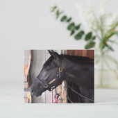 ベラミー・ロード・フレーミング・スリーによる防壁 ポストカード (スタンド正面)