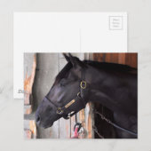 ベラミー・ロード・フレーミング・スリーによる防壁 ポストカード (正面/裏面)