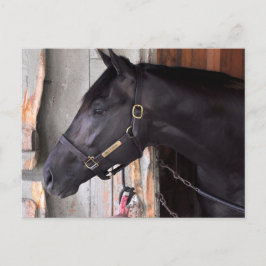 ベラミー・ロード・フレーミング・スリーによる防壁 ポストカード