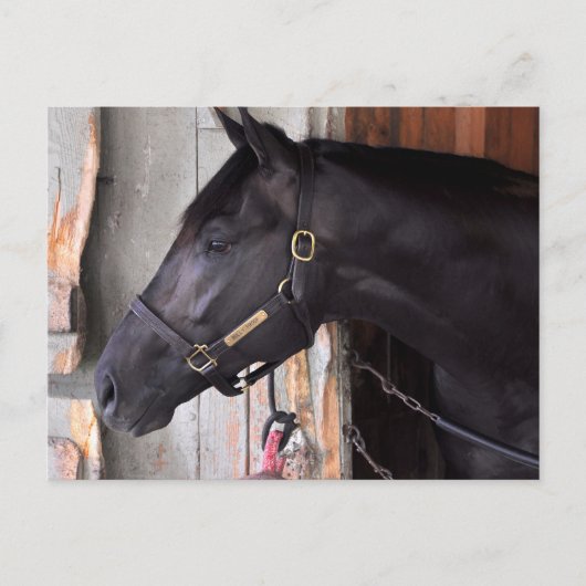 ベラミー・ロード・フレーミング・スリーによる防壁 ポストカード (正面)