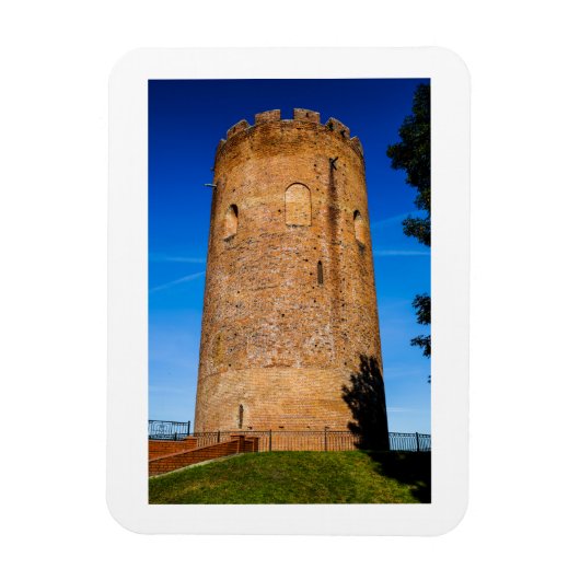 ベラルーシБеларусьタワーオブカミエネツベラヤベツハ マグネット (縦)