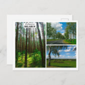 ベラルーシの自然 風景 森林 ポストカード (正面/裏面)