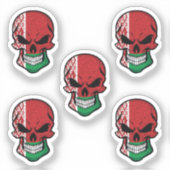 ベラルーシスカル国旗 シール (正面)