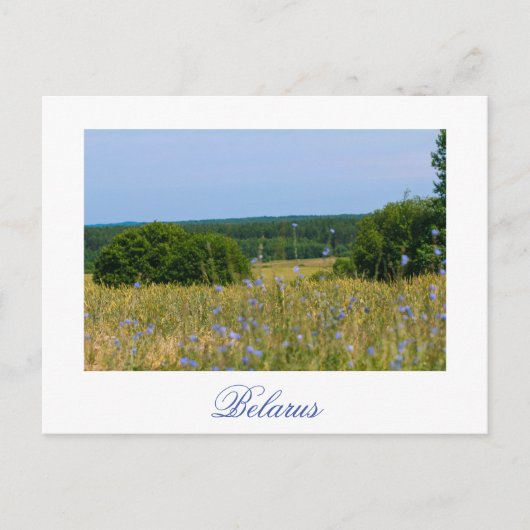 ベラルーシ地方景観国側はがき ポストカード (正面)