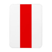 ベラルーシ抗議旗記号赤白革命f マグネット (縦)