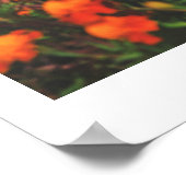 ベラルーシ挨拶自然建築ポスター ポスター (角)