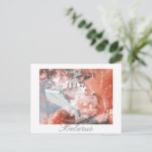 ベラルーシ ネスヴィジ宮殿 建築 ポストカード (スタンド正面)