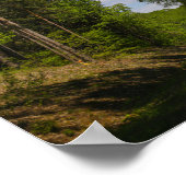 ベラルースフォレストルーラルロードスカイランドスケープ自然 ポスター (角)