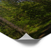 ベラルースフォレストルーラルロードスカイランドスケープ自然 ポスター (角)