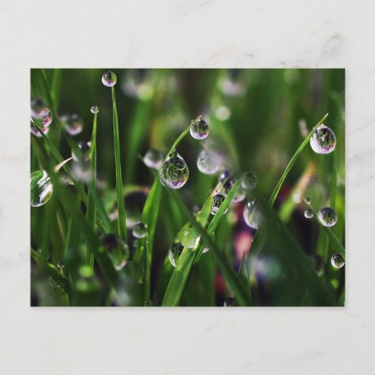 ベランダライス子供部屋 ポストカード (正面)