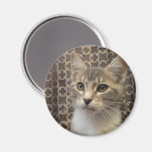 ベラ磁石 マグネット (正面/裏面)