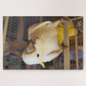 ベラ・ボーイ ジグソーパズル (横)