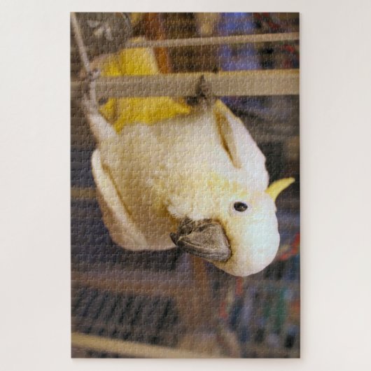 ベラ・ボーイ ジグソーパズル (縦)