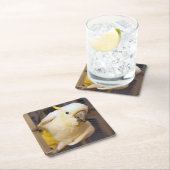 ベラ・ボーイ スクエアペーパーコースター (インサイチュ)