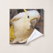 ベラ・ボーイ バスタオルセット (ウォッシュタオル)