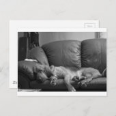 ベラ ポストカード (正面/裏面)