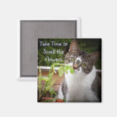 「ベラ」 マグネット (正面/裏面)