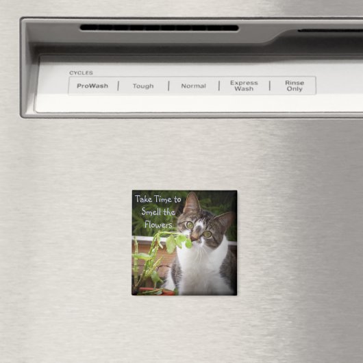 「ベラ」 マグネット (インサイチュ (食洗機))