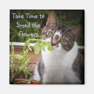 「ベラ」 マグネット