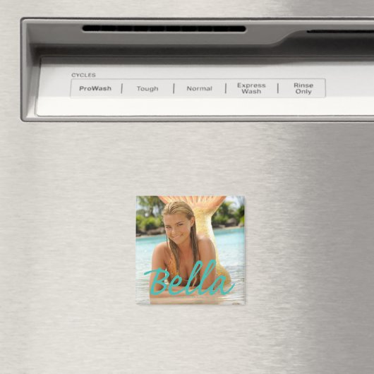 ベラ マグネット (インサイチュ (食洗機))