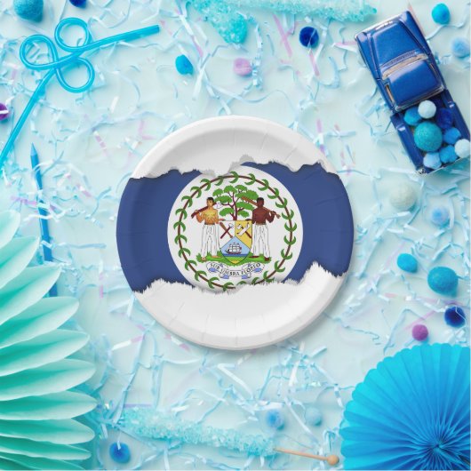 ベリセのクラシックな旗 ペーパープレート (パーティー)