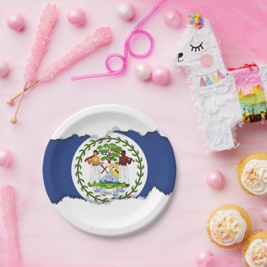 ベリセのクラシックな旗 ペーパープレート (パーティー)