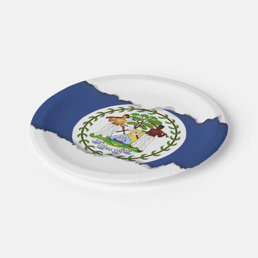 ベリセのクラシックな旗 ペーパープレート (アングル)