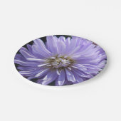 ベリネット ペーパープレート (アングル)