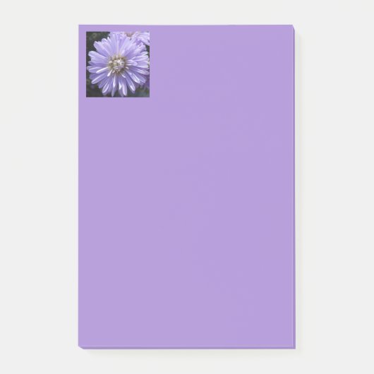 ベリネット ポストイット (正面)