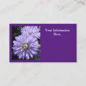 ベリネット 名刺 (正面)