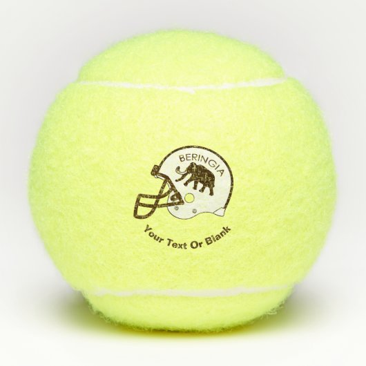 ベリンギア大学サッカーヘルメット テニスボール (正面)